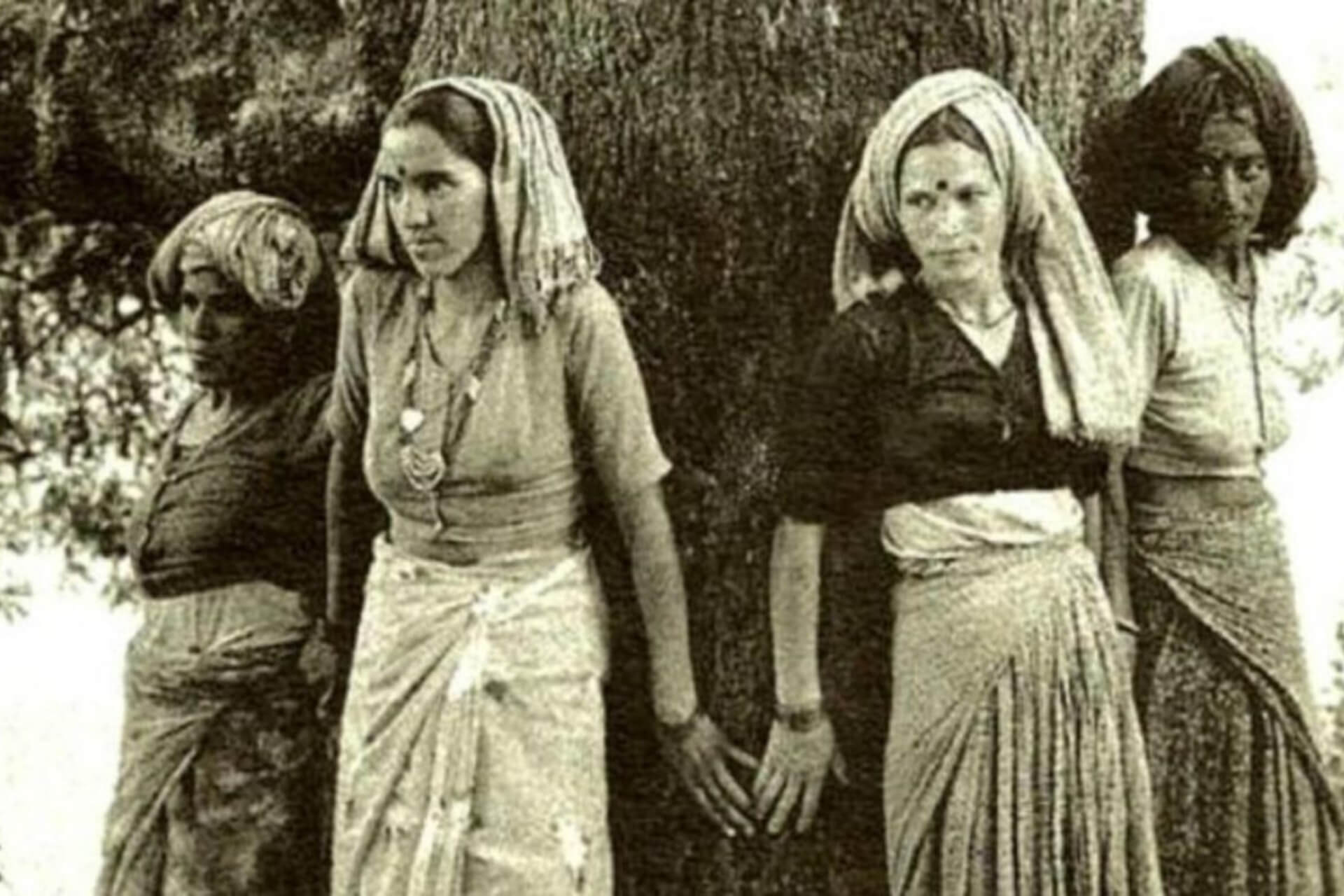 Women Of The Chipko Movement Hugging A Tree To Protect It From Loggers