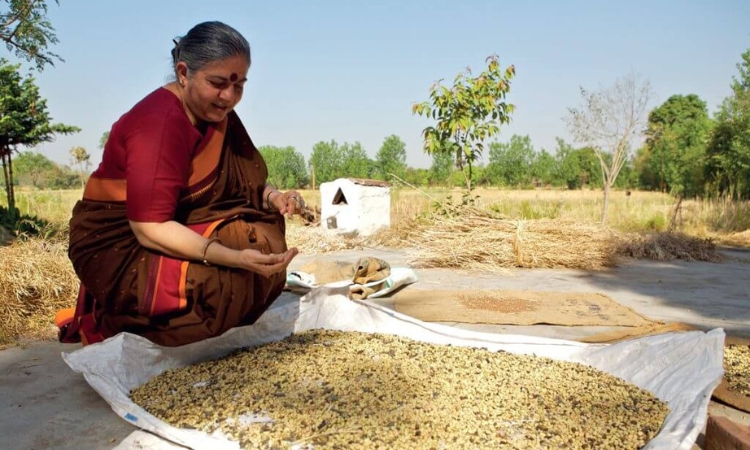 Vandana Shiva Saving Seeds Credit Toward Freedom Website