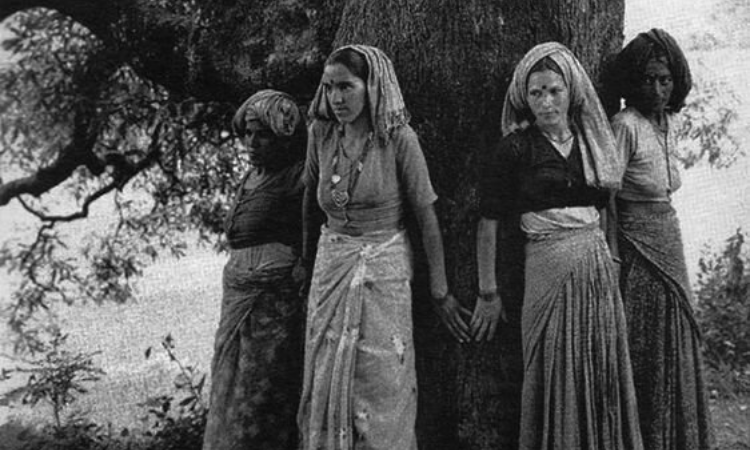 Women Of The Chipko Movement Hug Trees To Protect Them