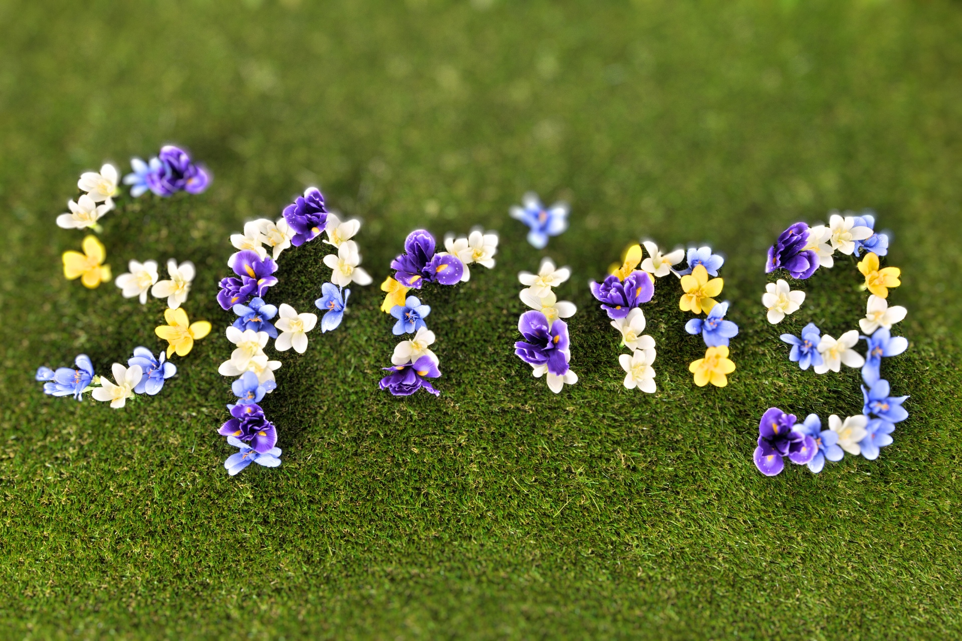 Spring Equinox Blog Banner